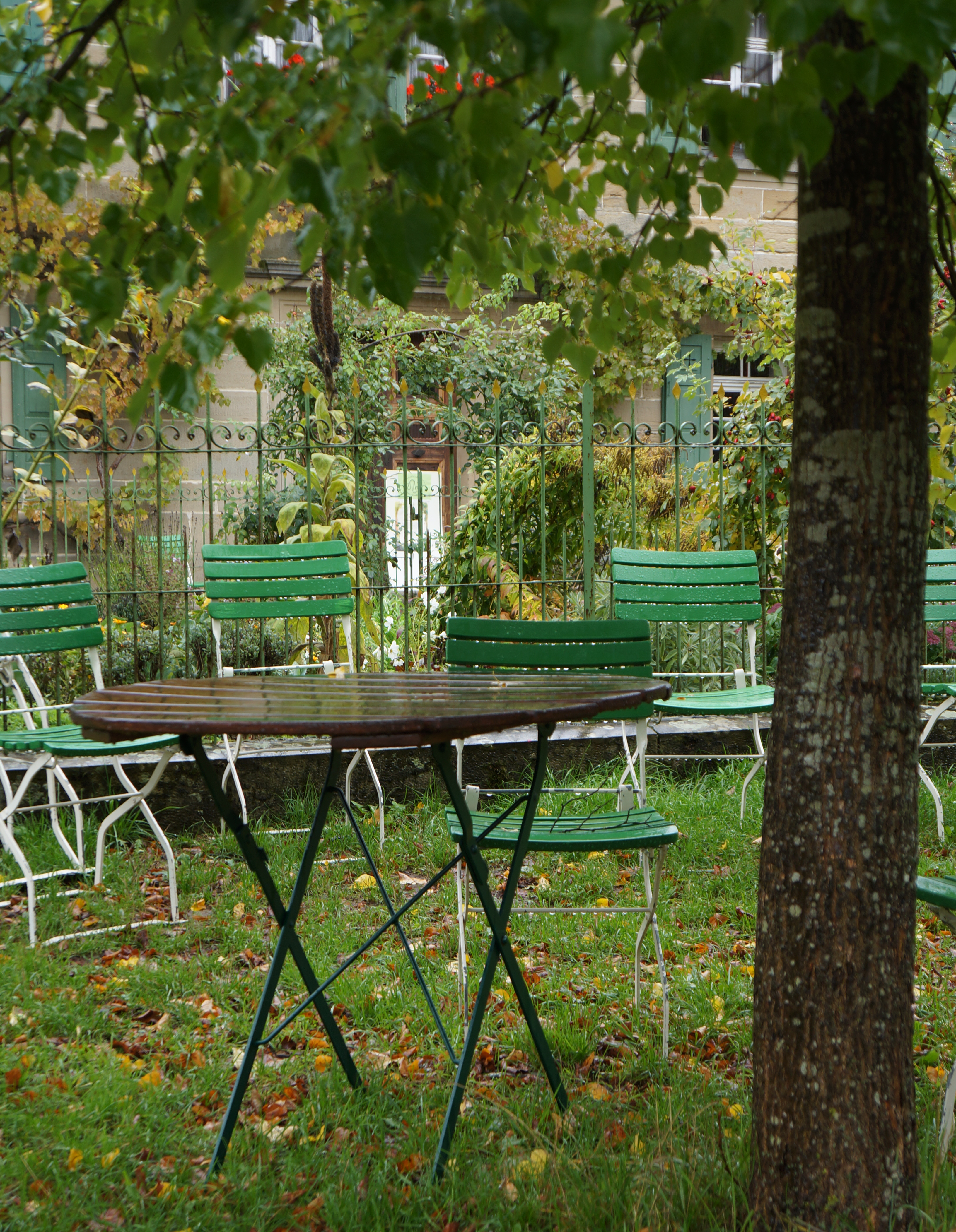 Gartentisch mit Stühlen unter einem Baum